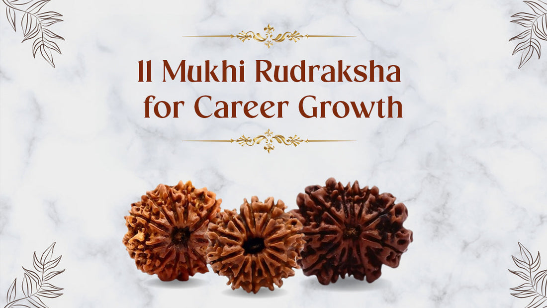 11 Mukhi Rudraksha for Career Growth