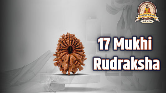 17 Mukhi Rudraksha