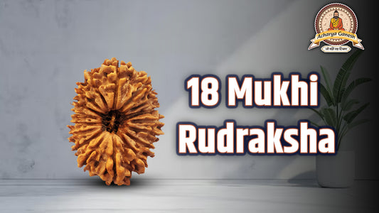 18 Mukhi Rudraksha