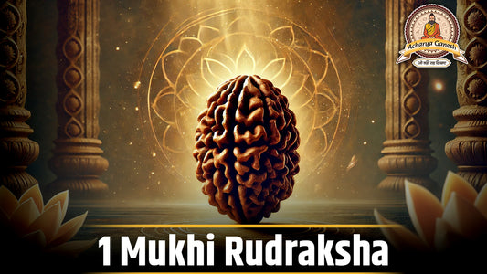 1 Mukhi Rudraksha