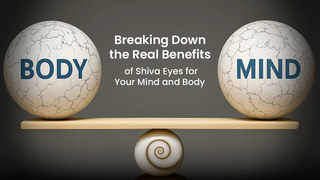 Breaking Down the Real Benefits of Shiva Eyes for Your Mind and Body