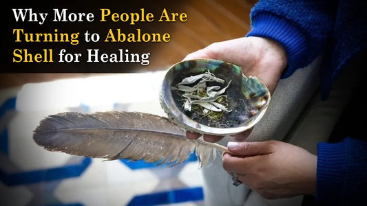 Why More People Are Turning to Abalone Shell for Healing
